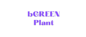 bGREEN Plant