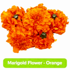 Marigold Flower - Orange