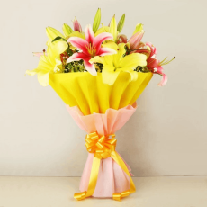 Pink and Yellow Oriental Lilies